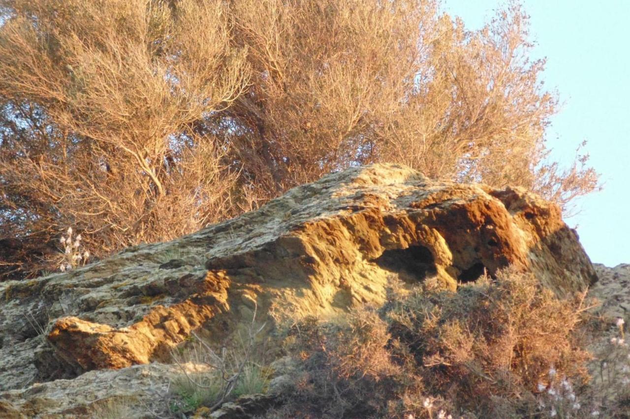 Olenia Residence Agia Pelagia  Luaran gambar